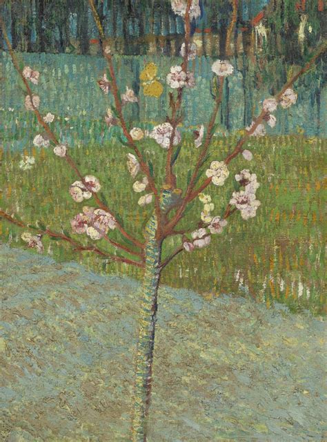 Vincent van Gogh - Peach Tree in Blossom - Van Gogh Museum