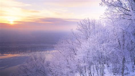 Most Beautiful Snow Scenes