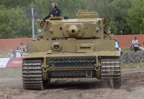 Tiger Day goes ahead at The Tank Museum - The Tank Museum