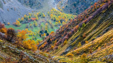 Autumn trees in a mountain valley in Écrins National Park, France ...