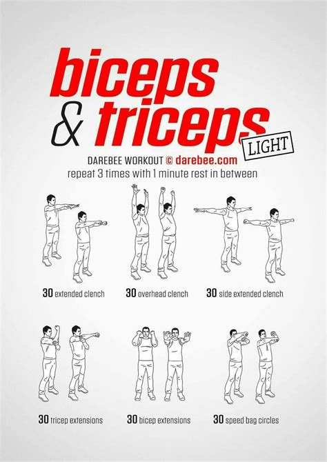 Pin by Blaque Fox on Workout | Bicep and tricep workout, Triceps ...