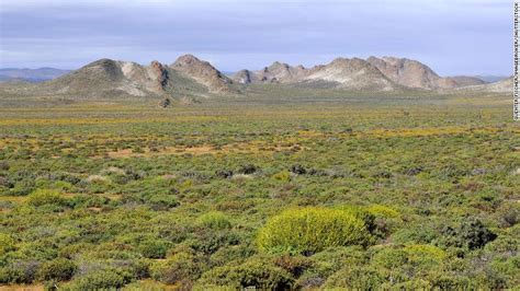 Succulent Karoo: The beautiful desert that's blooming with wildlife - CNN