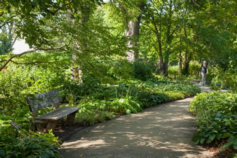 Woodland Garden Design (online) | The Morton Arboretum