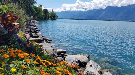 Montreux Lakeside: All You Need to Know BEFORE You Go