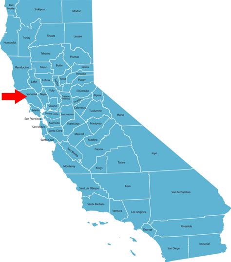 Equine Influenza in Sonoma County, California - EquiManagement