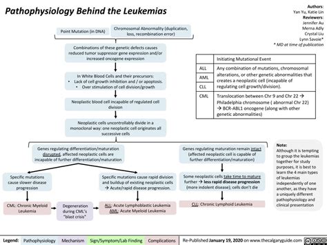 Pathophysiology Of Acute Lymphocytic Leukemia