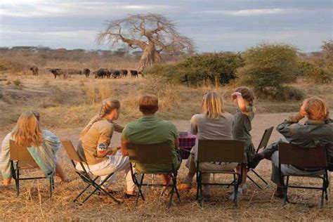 Ruaha National Park | Enclose Africa Safaris.