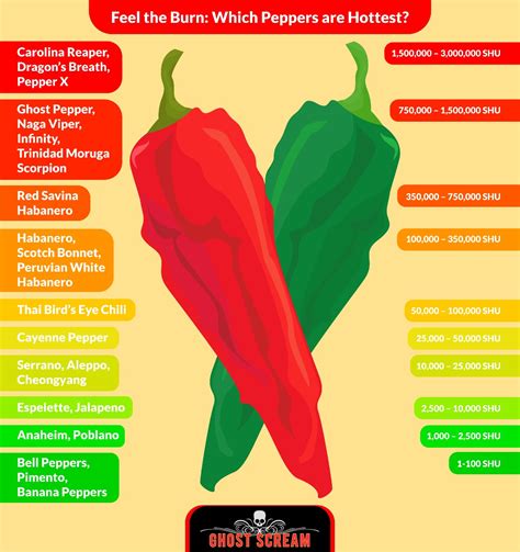 How Long Does Capsaicin Burn Last? - Healing Picks