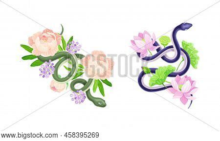 Graceful Snakes Vector & Photo (Free Trial) | Bigstock