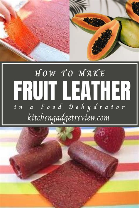 How to Make Fruit Leather in a Food Dehydrator in 2021 | Fruit leather ...