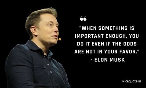 Elon Musk Quotes That Will Upgrade Your Thinking On Business And Success