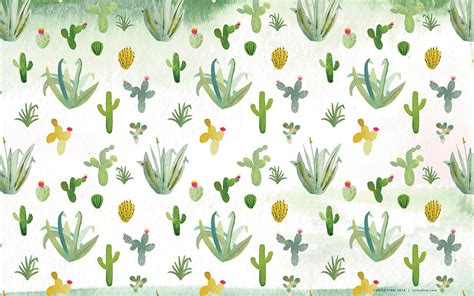 Cactus . Cactus Boho, Cactus Print and Cactus HD wallpaper | Pxfuel