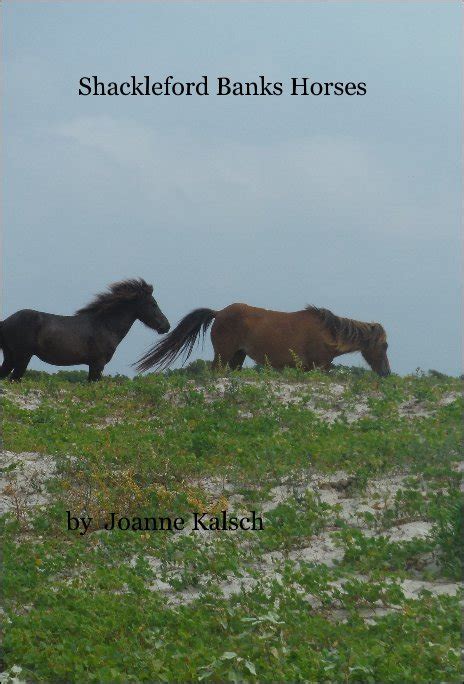 Shackleford Banks Horses by Joanne Kalsch | Blurb Books