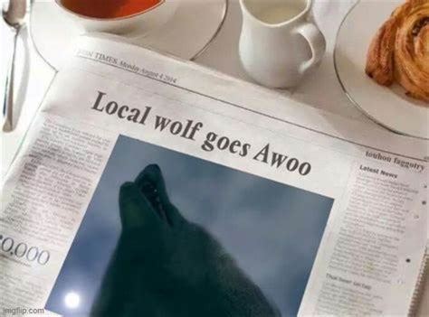 "Awoo" -local wolf - Imgflip