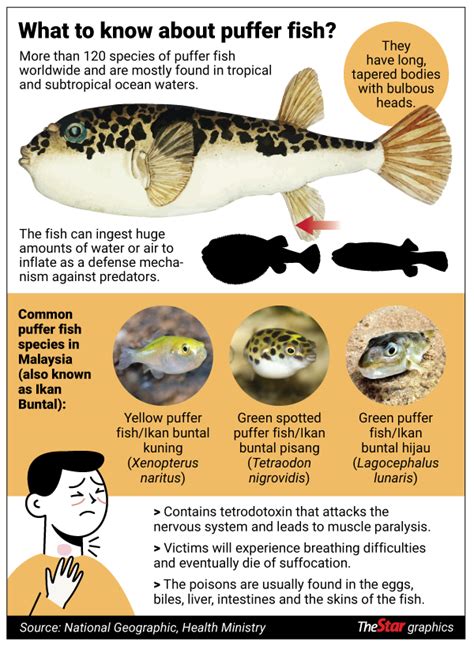 For some Malaysians, the forbidden fugu is a delicacy