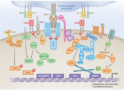 American Journal of Hematology | Blood Research Journal | Wiley Online ...