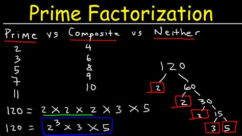 How To Do Prime Factorization Grade 5