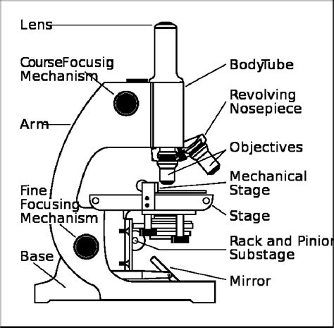 32 Microscope Parts And Use Worksheet Answers - support worksheet