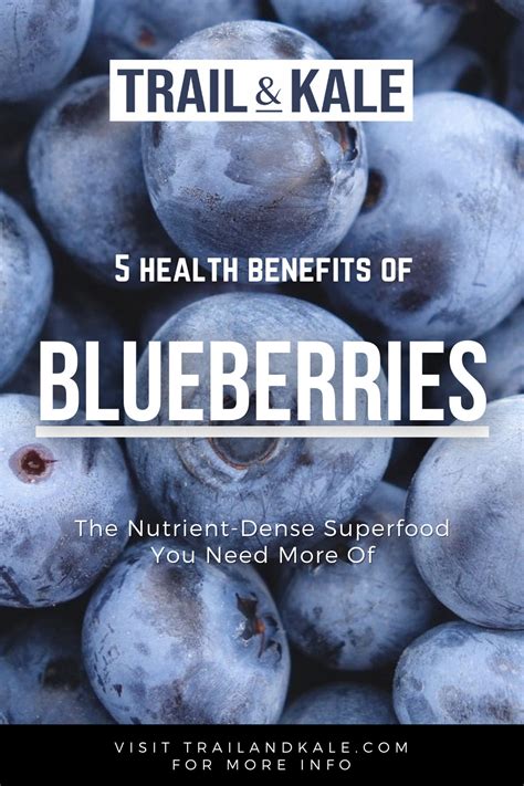 5 Health Benefits Of Blueberries + Key Nutrition Facts