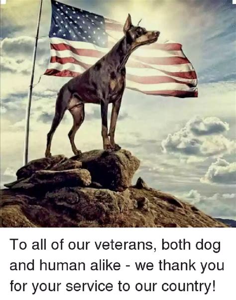 Veterans Day Thank You Memes - QuotesProject.Com