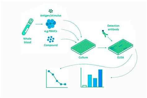 Detection and Quantification of Cytokines with ELISA protocol ...