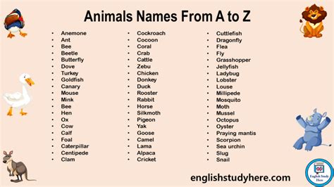 All Animals Names From A to Z in English - English Study Here