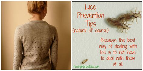 Natural Lice Prevention So that You Don't Have to Deal With Them