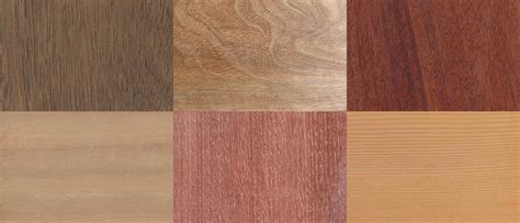 Understanding Different Types of Timber - Inspirations Paint