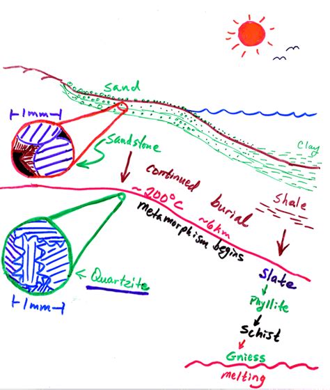 Metamorphism