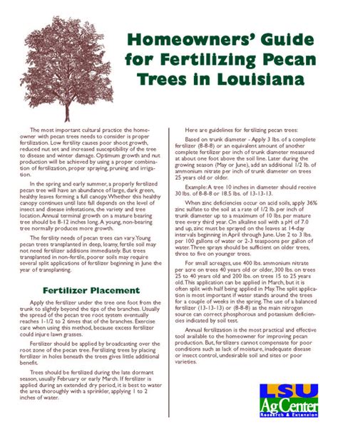 Homeowners Guide for Fertilizing Pecan Trees in Louisiana | Pecan tree ...