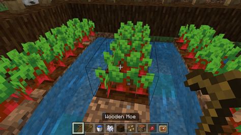 How to Hoe a Garden in Minecraft