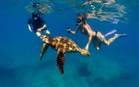 oahu hawaii snorkel tour 2 | Oahu, Snorkeling, Hawaii