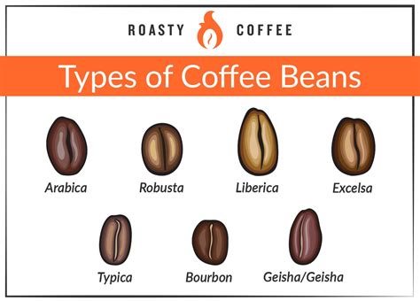 50+ Different Types Of Coffee Drinks Explained [Ultimate Guide]