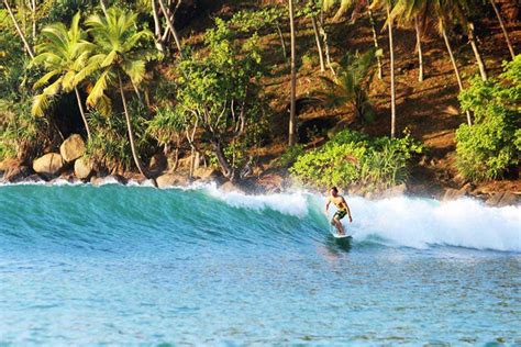 Best spots for surfing in Mirissa | Sandy Beach Trips