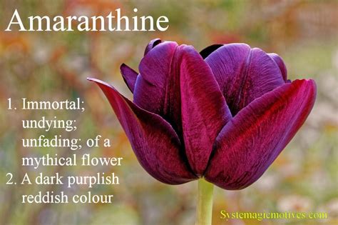 Amaranthine | Naturaleza, Paisajes, Flores