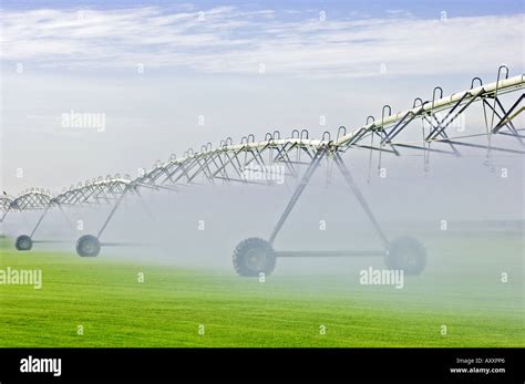 automated circular rotating center pivot irrigation system sod farming ...