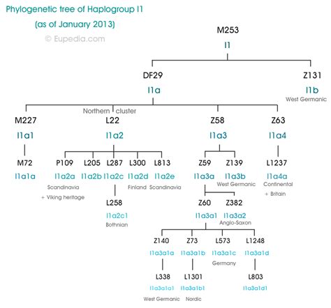 Finns 40-50% Y-DNA I - Page 6