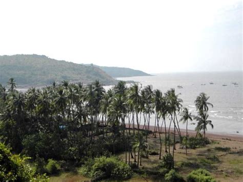 Top 10 Tourist Attractions in Palghar - ChaloGhumane.com