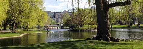 Boston Public Garden | TCLF