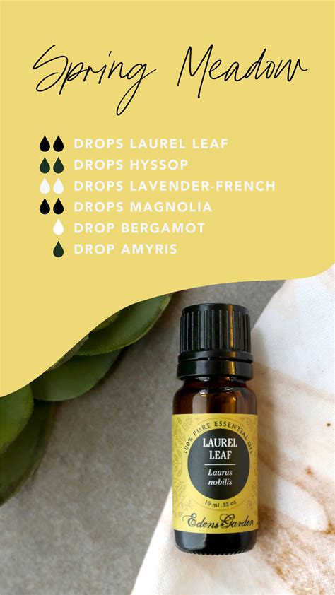 Our Favorite Essential Oil Diffuser Blends For Spring! | Essential oil ...