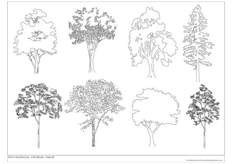 Tree Blocks | Architecture tree sketch | Landscape architecture drawing