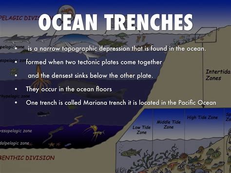 Ocean Trench by Gio Medina