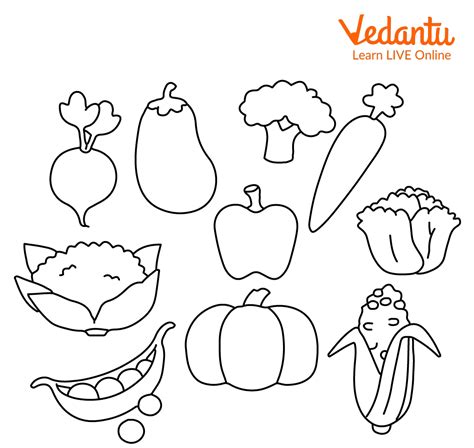 Healthy Food Coloring Pages | Colouring Activity for Kids