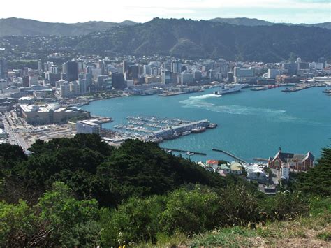 Wellington Harbour | Chip Travel