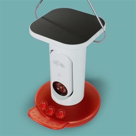 Bird Buddy : Smart Hummingbird Feeder with Solar Roof