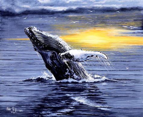 Humpback Whale Breaching Drawing