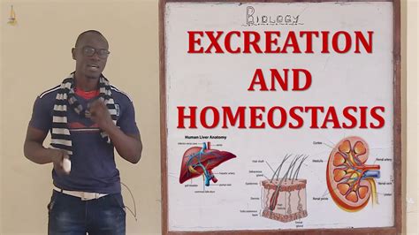 Excretion and Homeostasis Biology Form 2 - YouTube