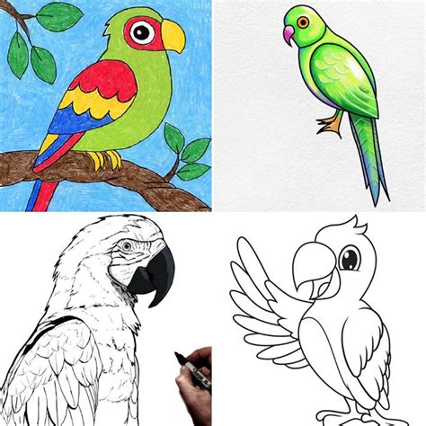 Realistic Parrot Drawing