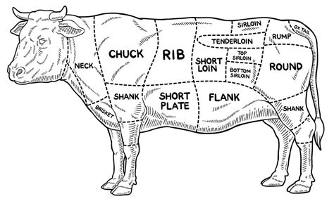 FARK.com: (12826626) So should you ribeye it or sirloin-a-lot?