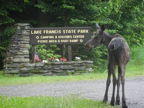 Campground Details - Lake Francis State Park, NH - New Hampshire ...